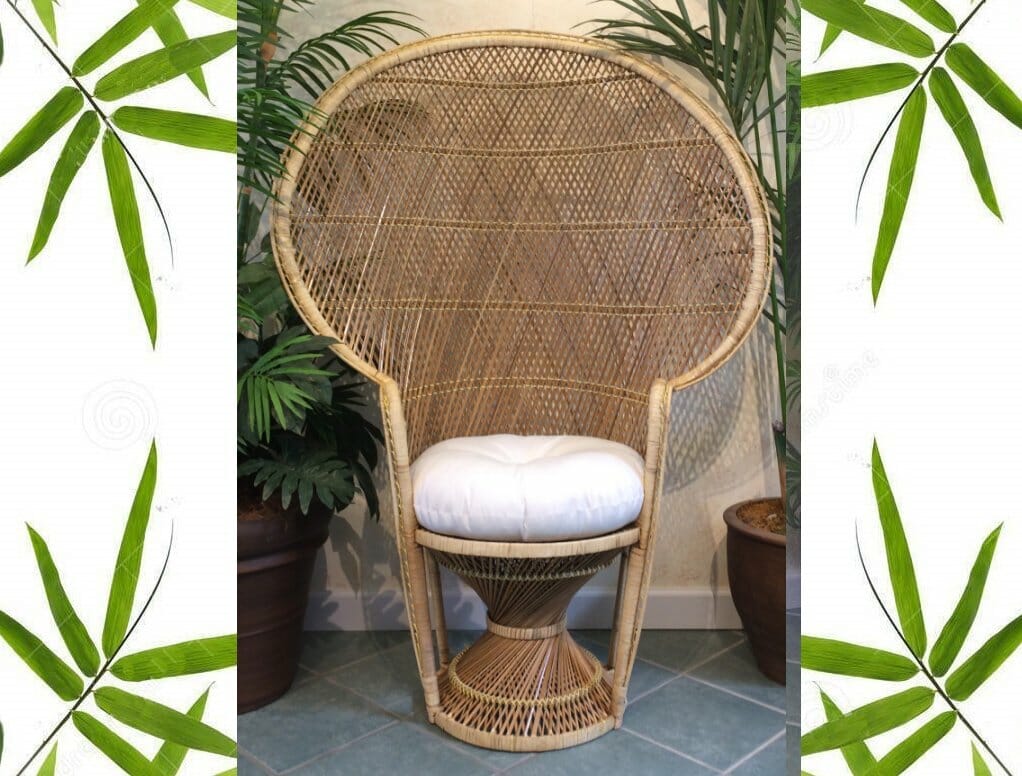 outdoor peacock chair