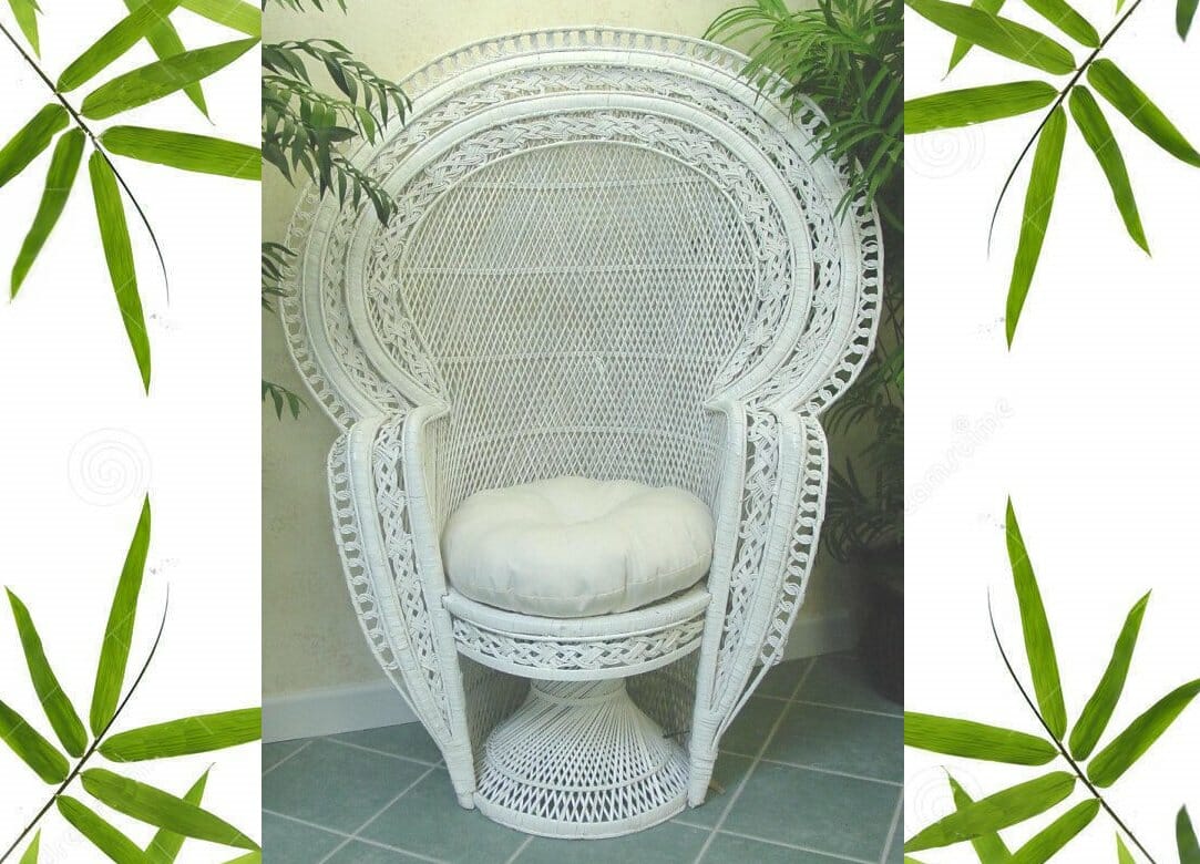 child peacock chair