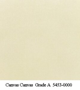 Canvas Canvas