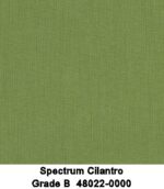 Spectrum Cilantro Sunbrella Fabric