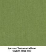 Spectrum Cilantro