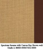 Spectrum Sesame with Canvas Bay Brown