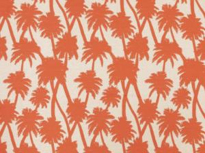Little Palm Tangerine - Grade E