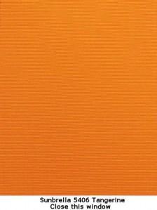 AC*5406(X)Canvas Tangerine Group 2